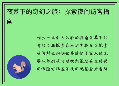夜幕下的奇幻之旅：探索夜间访客指南